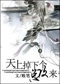 天上掉下个总攻来 天上掉下个总攻来