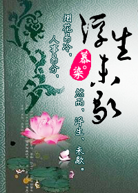 浮生未歇封面
