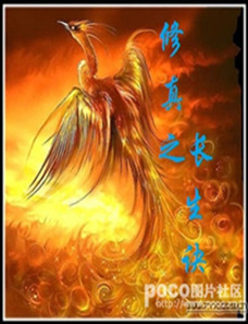 修真之长生诀封面