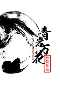 青岩万花封面