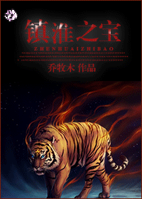 镇淮之宝封面