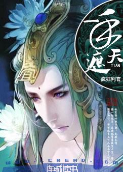 一手遮天封面