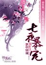 七夜暴宠txt封面