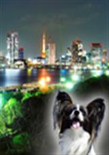 都市兽医奇遇记封面