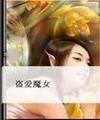 盗爱魔女封面