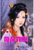 花魁的玩物封面