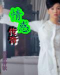 情惑传奇封面