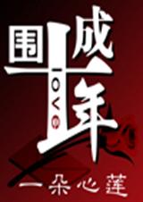 围城十年封面