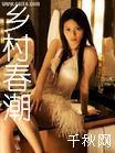 乡村春潮封面