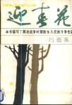迎春花封面