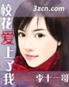 校花爱上了我封面