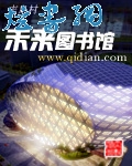 未来图书馆封面