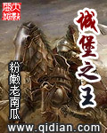 城堡之王封面