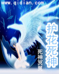 护花死神封面