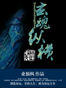 玄魂纵横封面