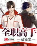全职高手封面