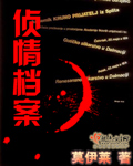 侦情档案封面