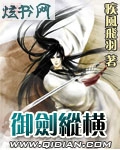 御剑纵横封面