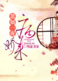 忽如一夜病娇来封面
