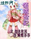 领域世纪封面