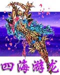四海游龙封面
