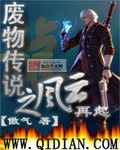 废物传说之风云再起封面
