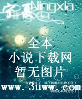 骑士的战争封面