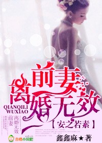安之若素,前妻离婚无效封面