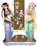 神算女秦宝儿封面