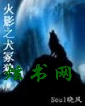 火影之犬冢狼封面