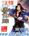 大唐仙踪封面