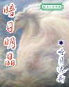 暗日明晶封面