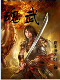 魂武封面