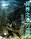 异界之双刀盗贼封面