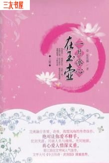 一片冰心在玉壶封面