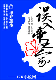 锁情:误入帝王家封面