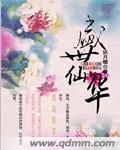 盛世仙华封面