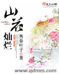 山花灿烂封面