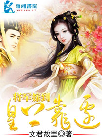 将军嫁到,皇上靠边封面