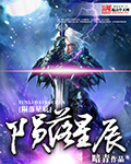 陨落星辰封面