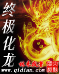 终极化龙封面
