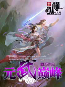 元武巅峰封面