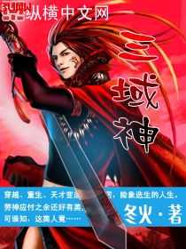 三域神封面