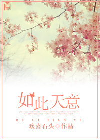 如此天意封面
