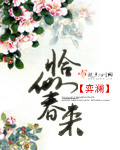 恰似春来封面
