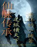 仙脉传承封面