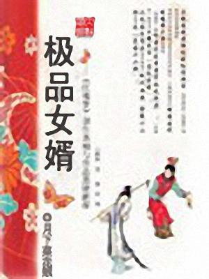 极品女婿封面