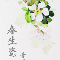 春生瓷(gl)封面