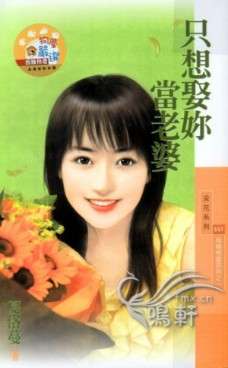 只想娶你当老婆封面