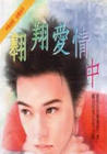 翱翔爱情中封面